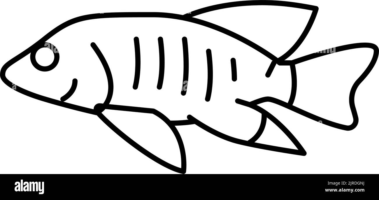 african cichlids line icon vector illustration Stock Vector
