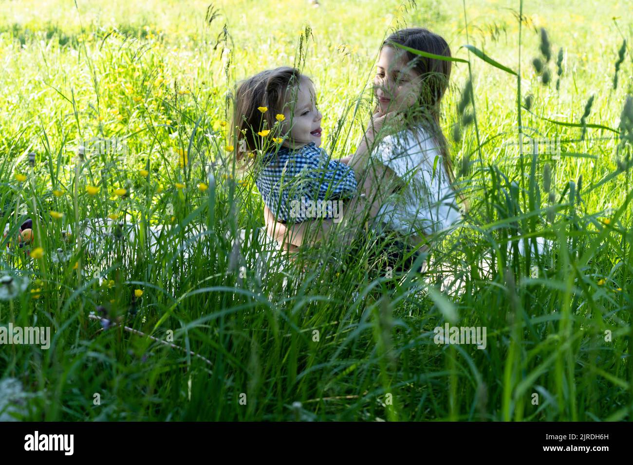 Brother and sister are playing in the park among the green grass ...
