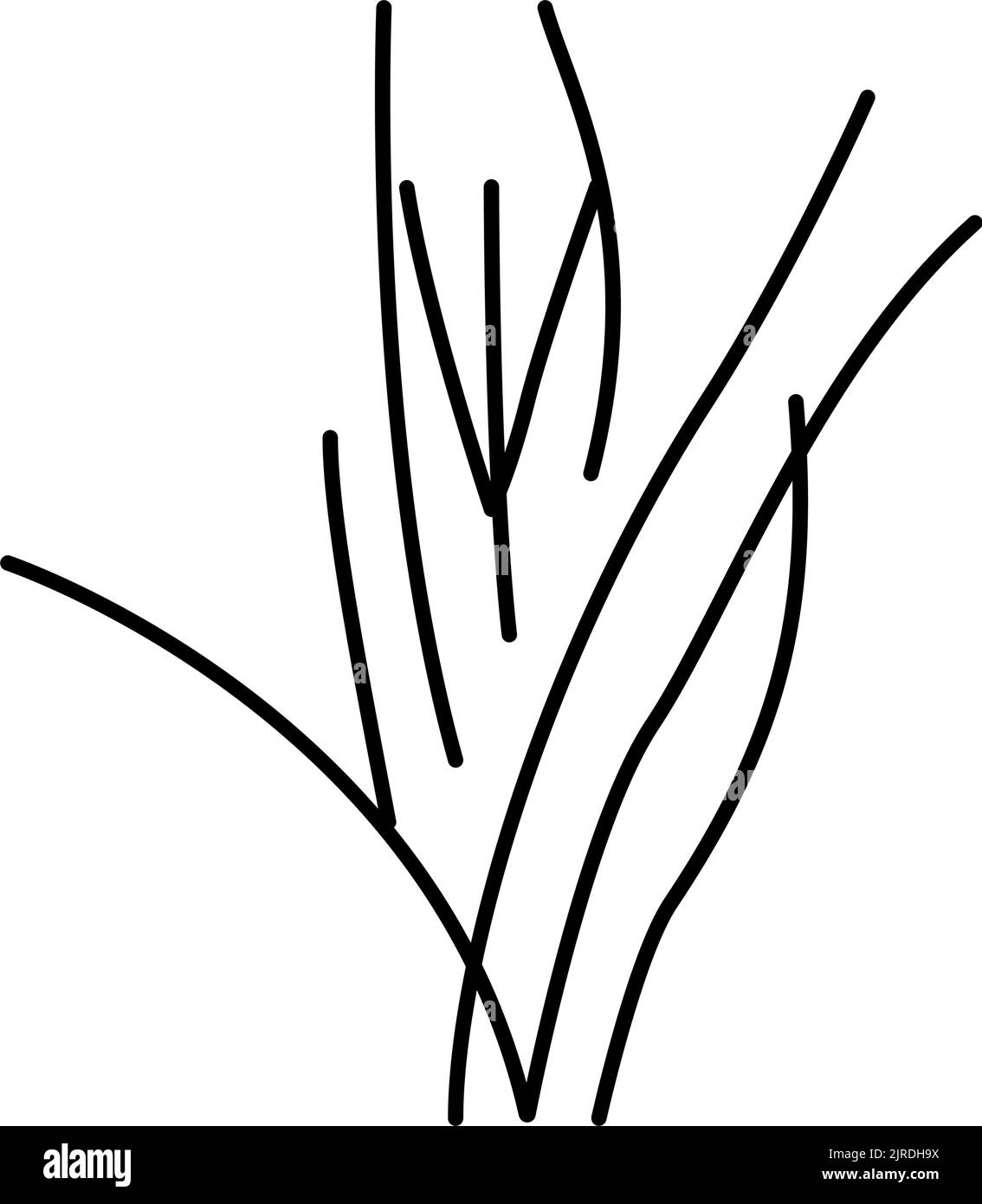 vallisneria spiralis line icon vector illustration Stock Vector