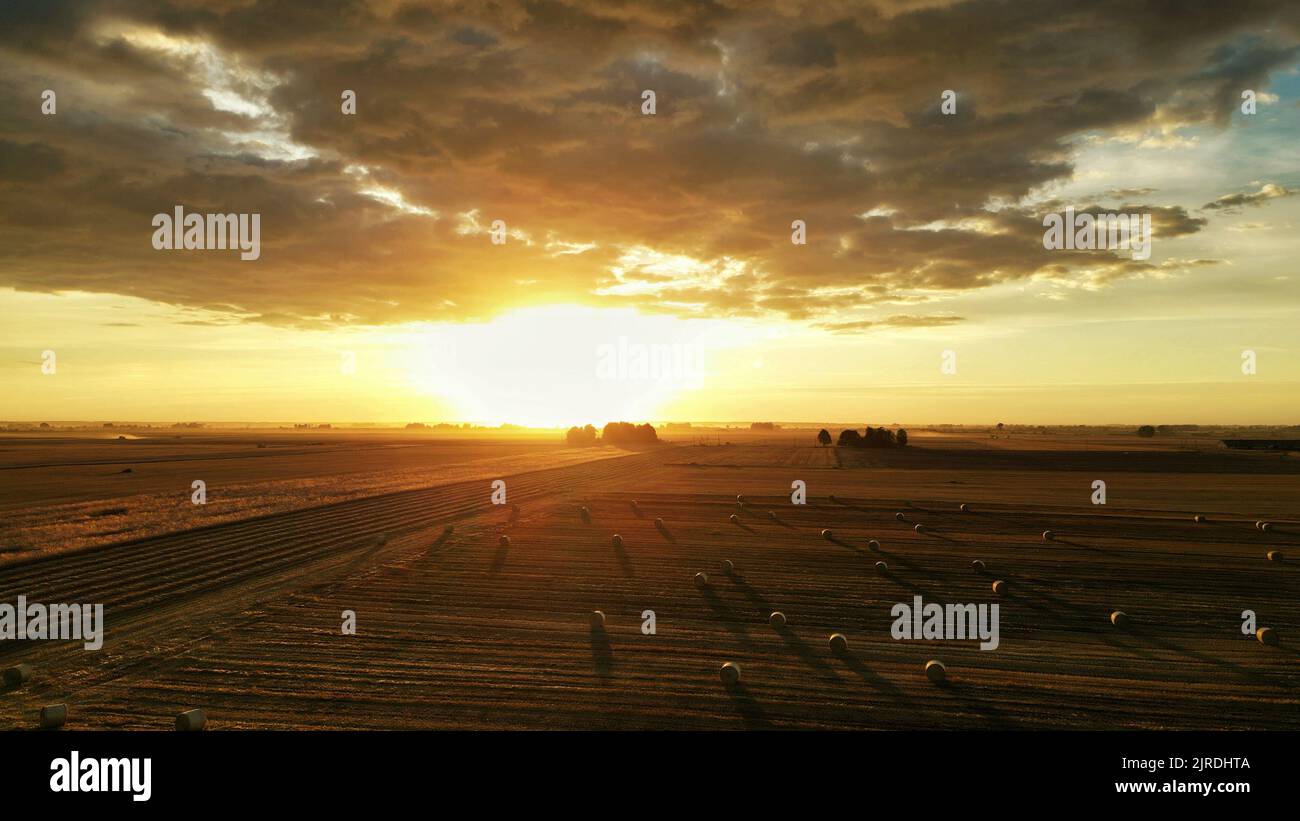 Panorama of Hay balls on a field in rural, agricultural area at sunset, beautiful and scenic light Stock Photo