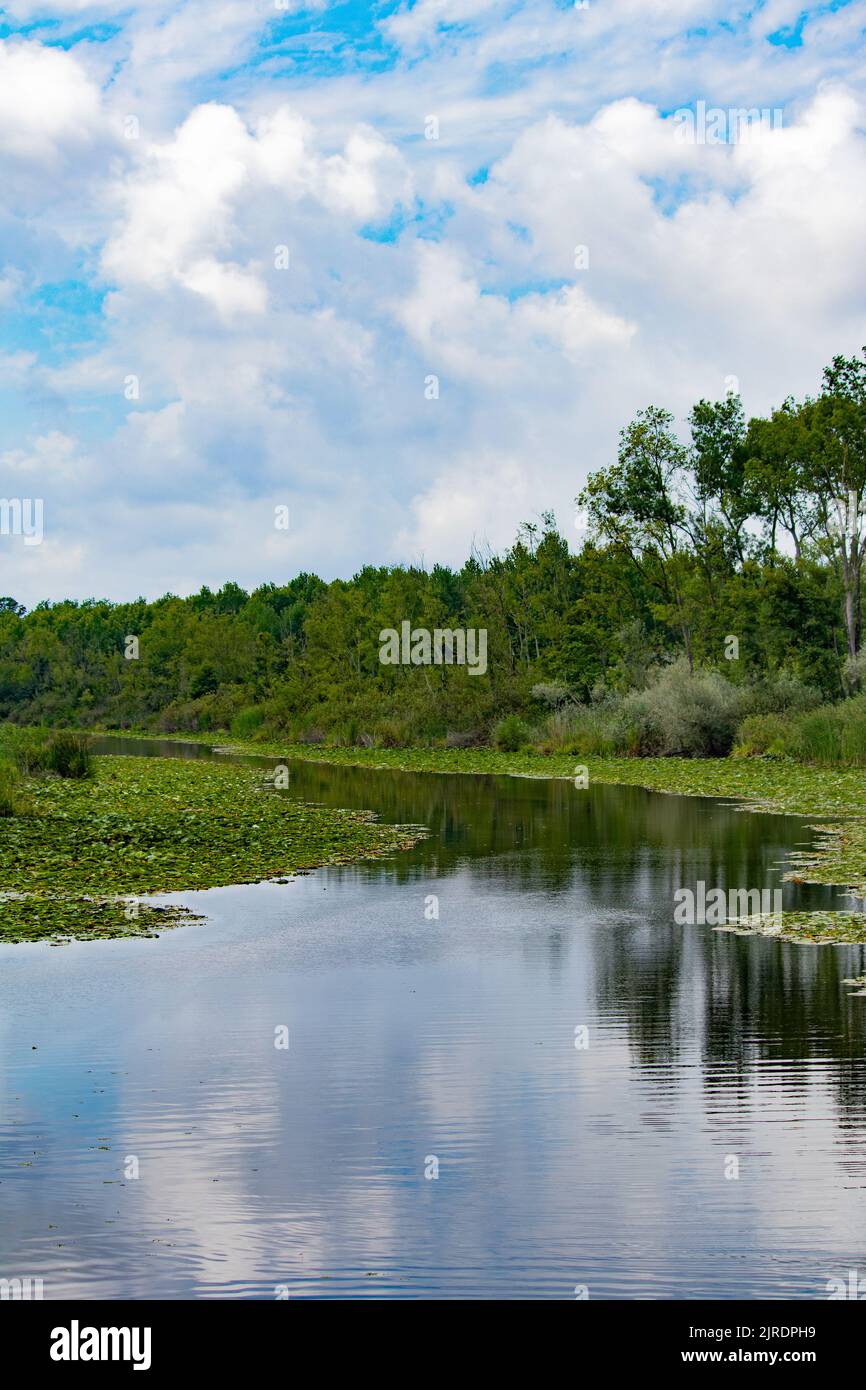 Cloudy sky reflected in the water hi-res stock photography and images ...
