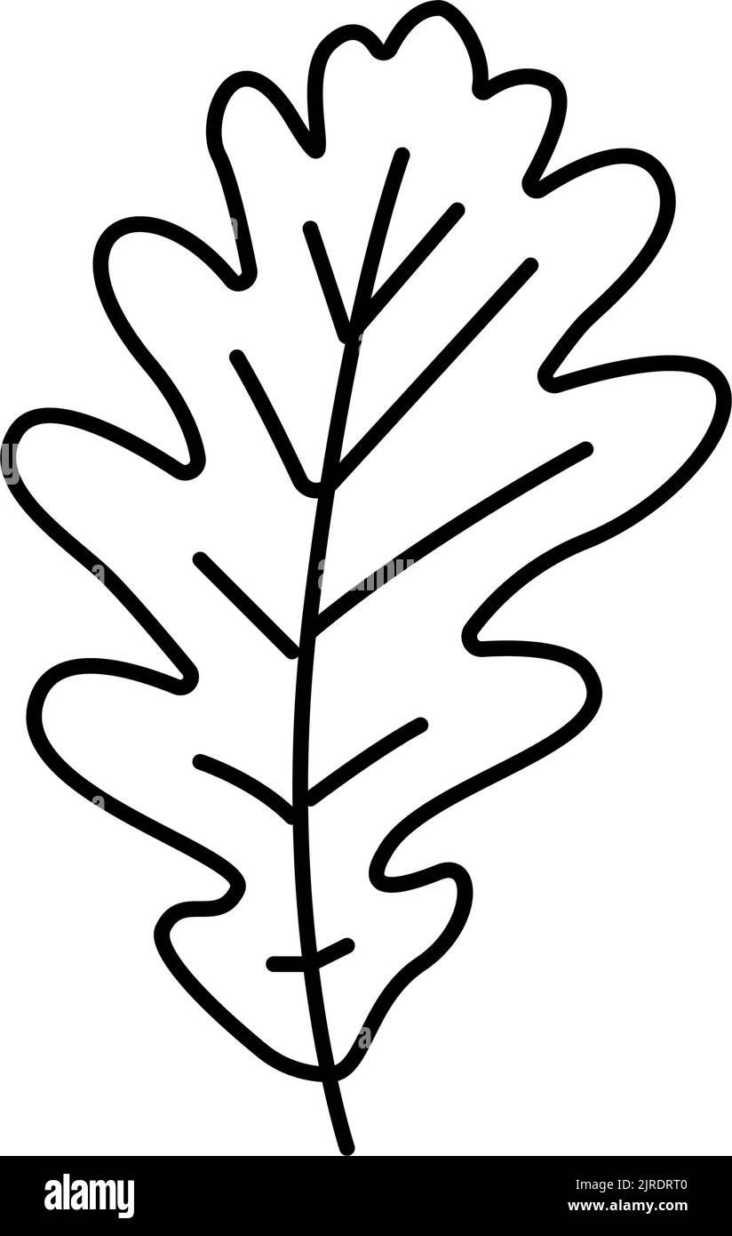oak tree leaf line icon vector illustration Stock Vector