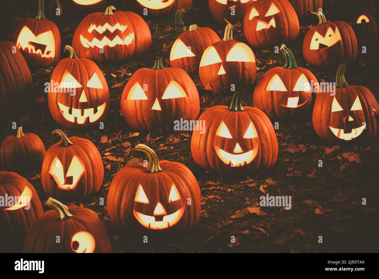 Halloween Pumpkins In A Spooky Forest At Night. 3D illustration Stock ...