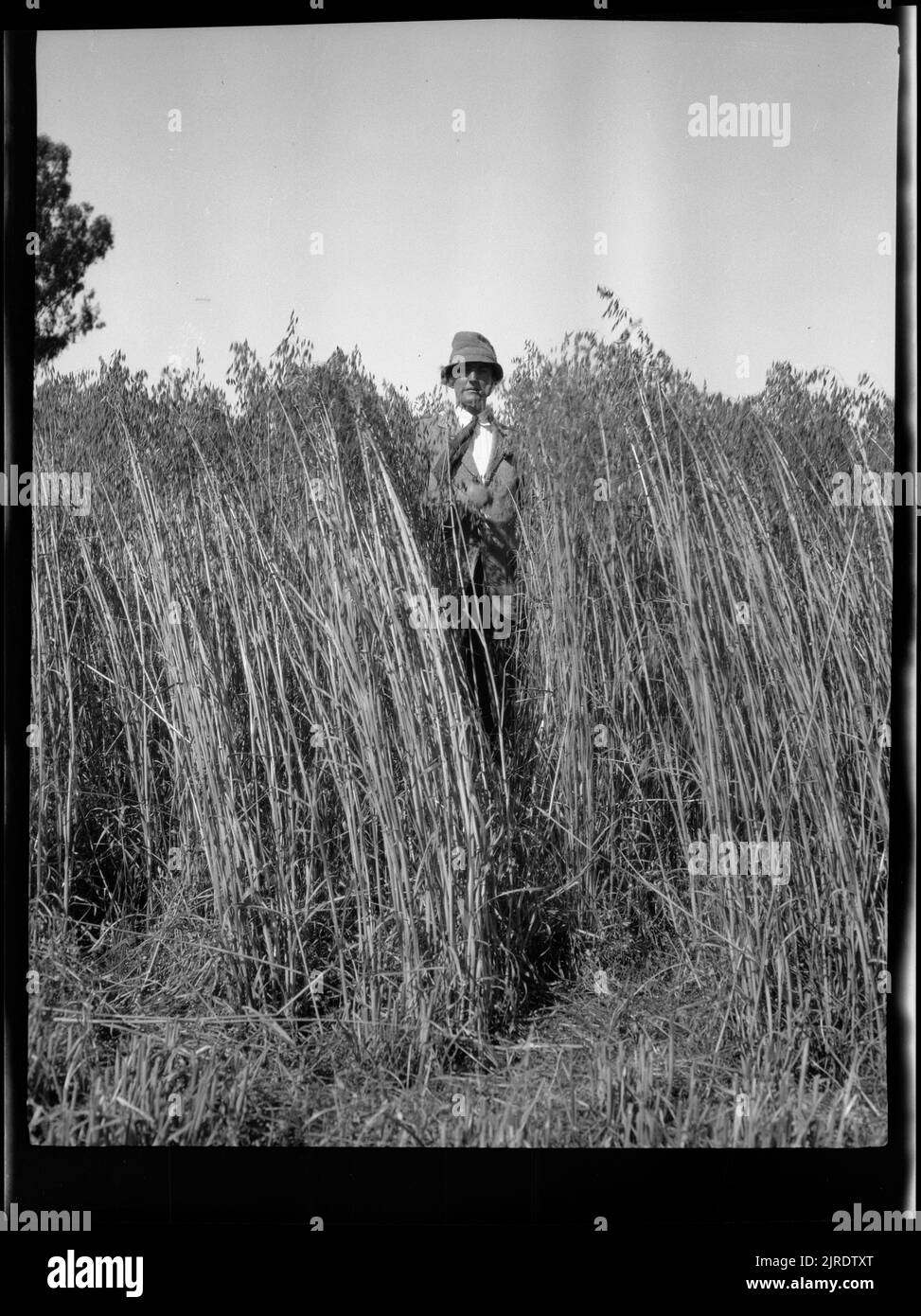 Farmer in field with crops Black and White Stock Photos & Images - Alamy