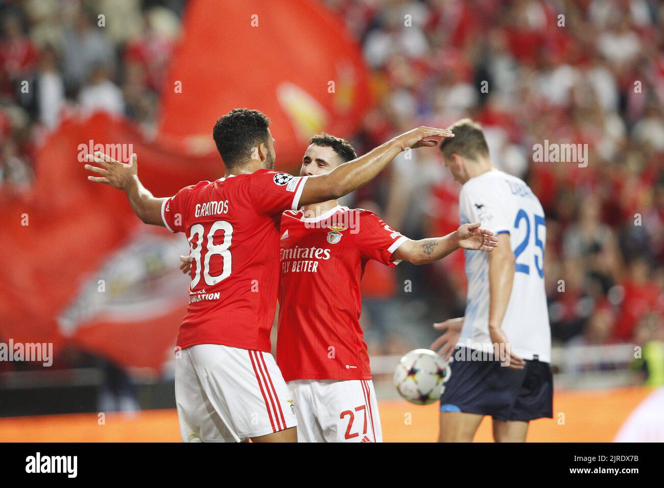 Rafa Silva of SL Benfica score 2-0 and celebrates with Goncalo Ramos of SL Benfica during the UEFA Champions League, Play-offs, 2nd leg football match between SL Benfica v Dynamo Kyiv on August 23, 2022 at Estadio da Luz in Lisbon, Portugal - Photo: Joao Rico/DPPI/LiveMedia Stock Photo