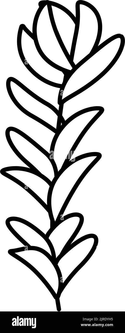 rotala rotundifolia seaweed line icon vector illustration Stock Vector