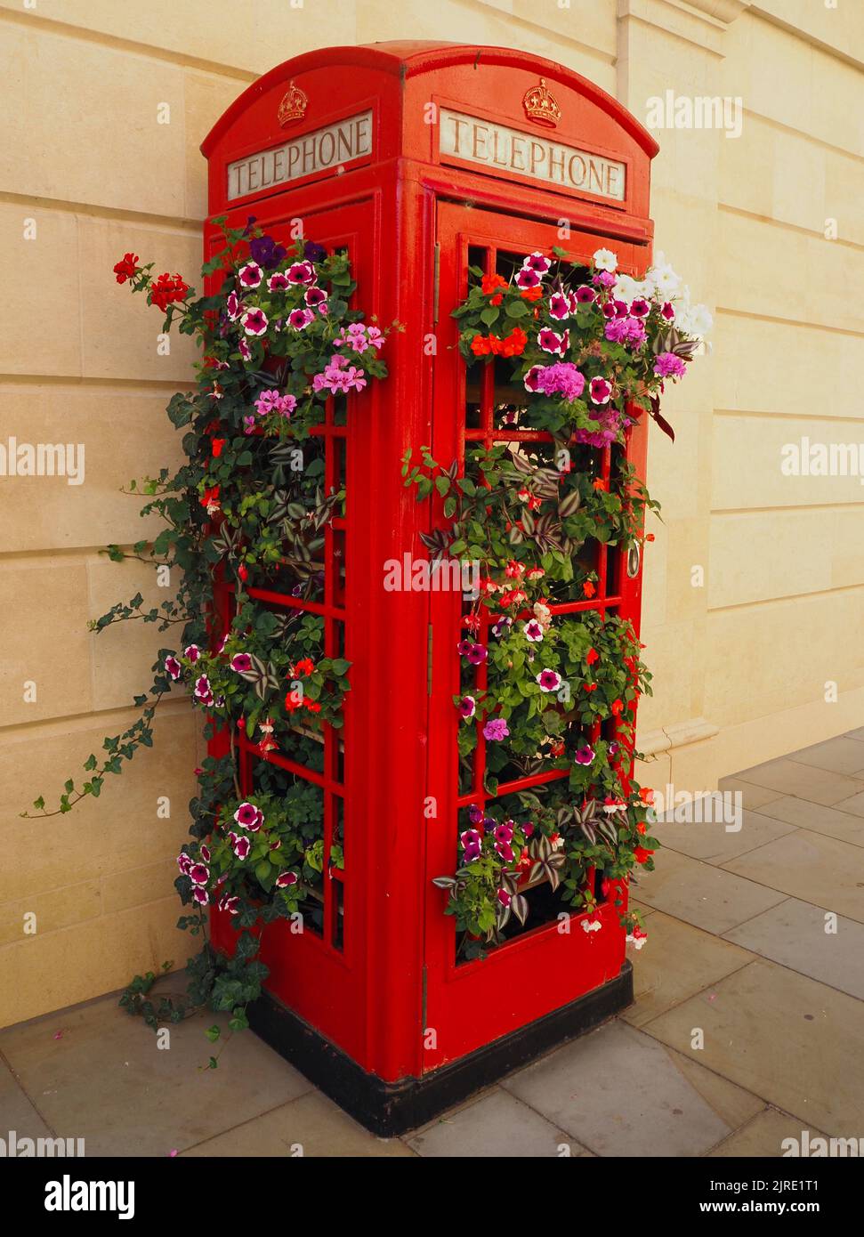Re-purposed telephone kiosk with display of Summer flowers, Bath, Somerset. August 2022. Stock Photo