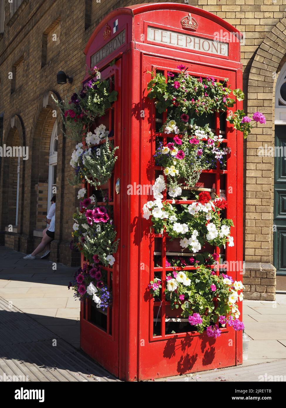 Re-purposed telephone kiosk with display of Summer flowers, Bath, Somerset. August 2022. Stock Photo