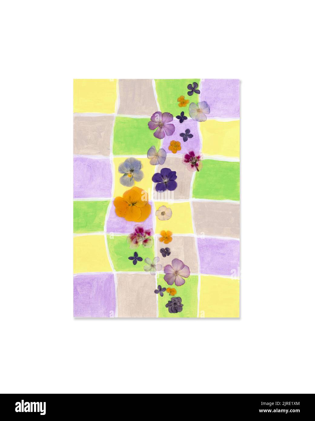 Contemporary botanical art of pressed flowers. Oshibana. Geometrical