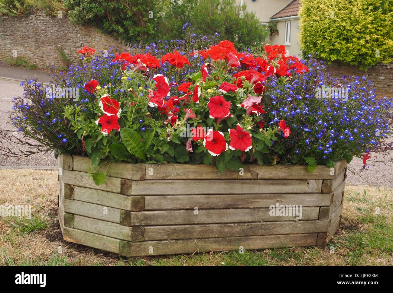 Flower display in wooden planter, Westerleigh Village Green, South