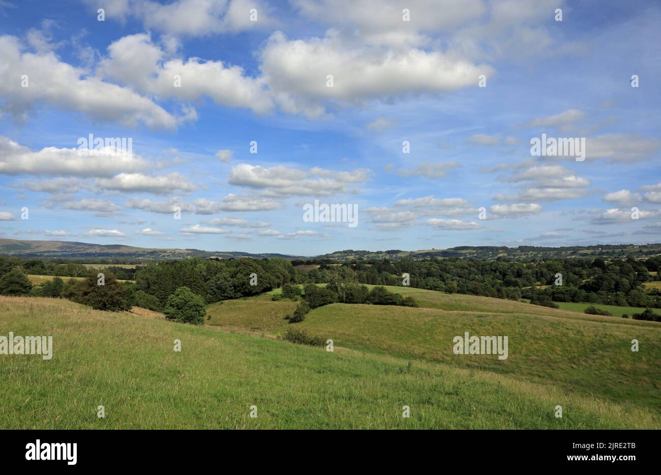 A view of the Ribble Valley on a summer evening  Hurst Green near Ribchester Lancashire England Stock Photo