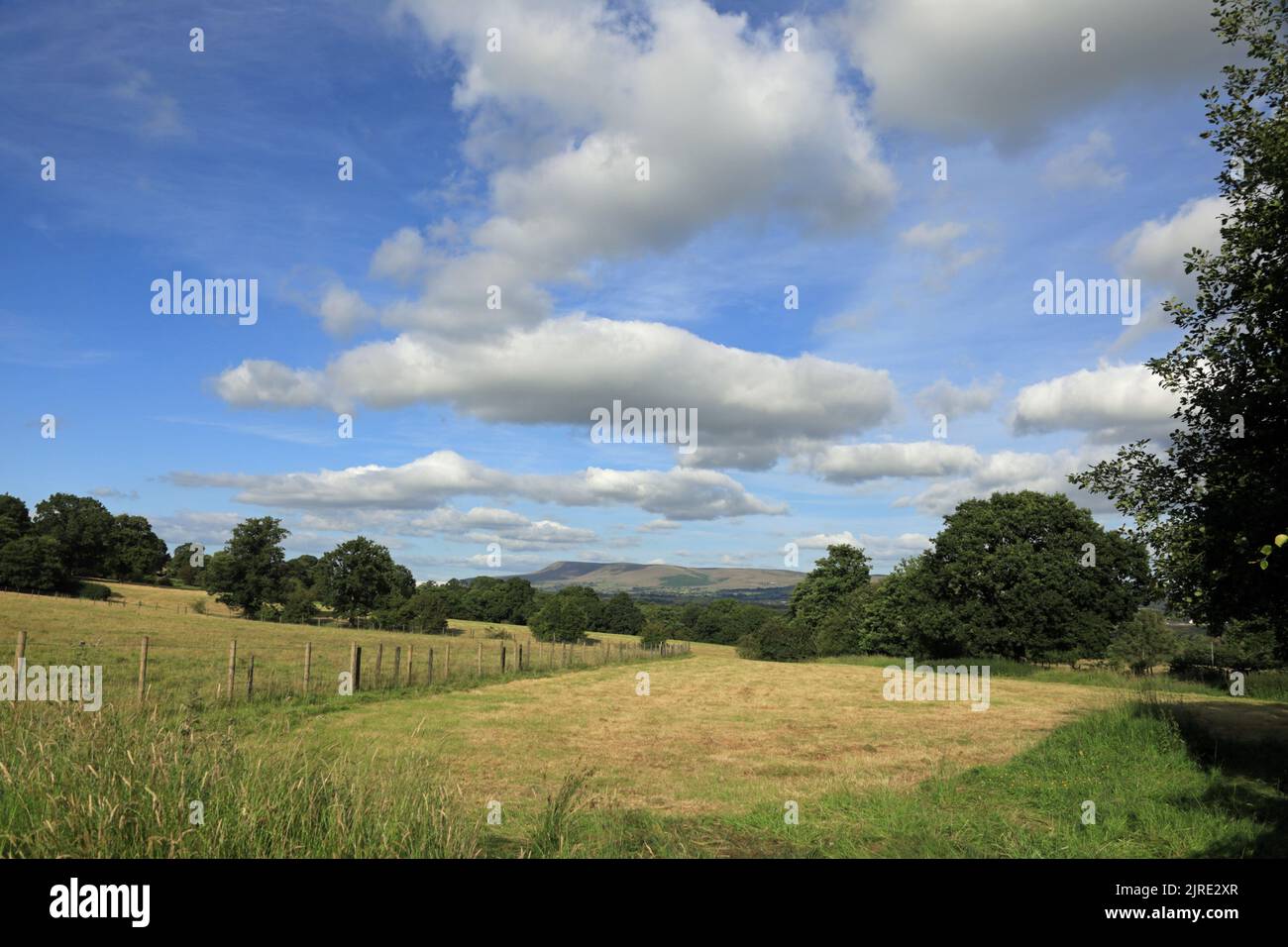 A view of the Ribble Valley on a summer evening with Pendle Hill in the background Hurst Green near Ribchester Lancashire England Stock Photo
