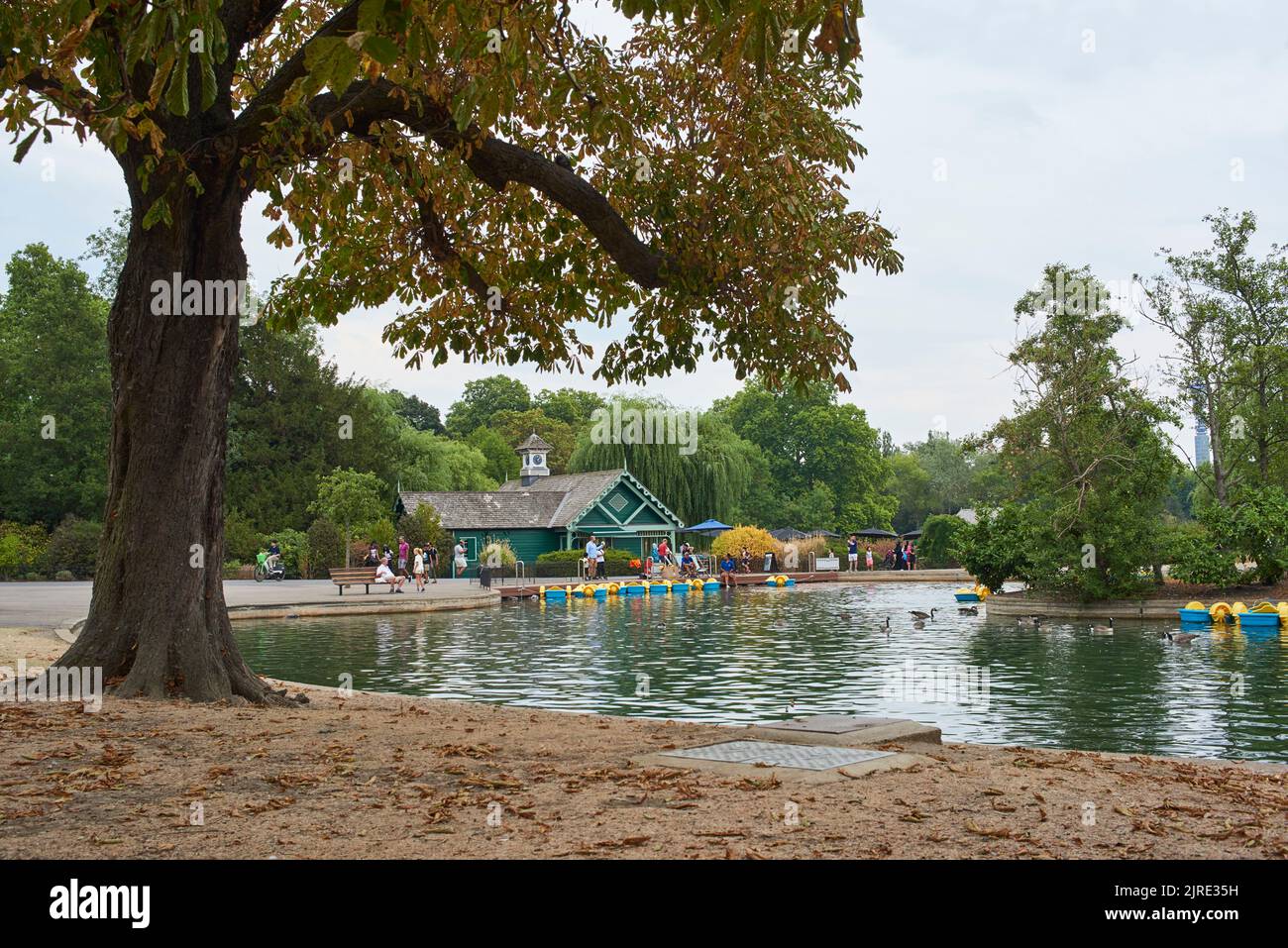 The children's boating pond at Regent's Park, London UK, during the 2022 August heatwave and drought Stock Photo