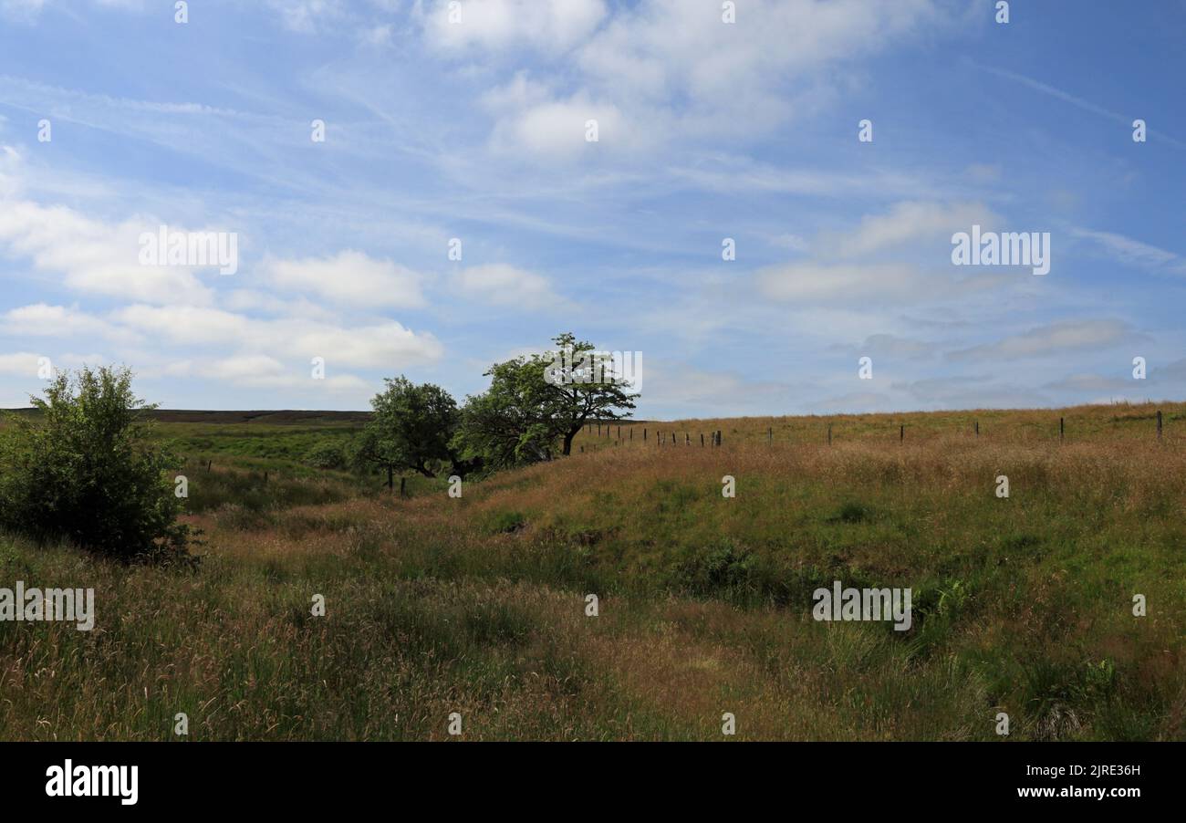 Withnell Moor in the West Pennine Moors Lancashire England Stock Photo