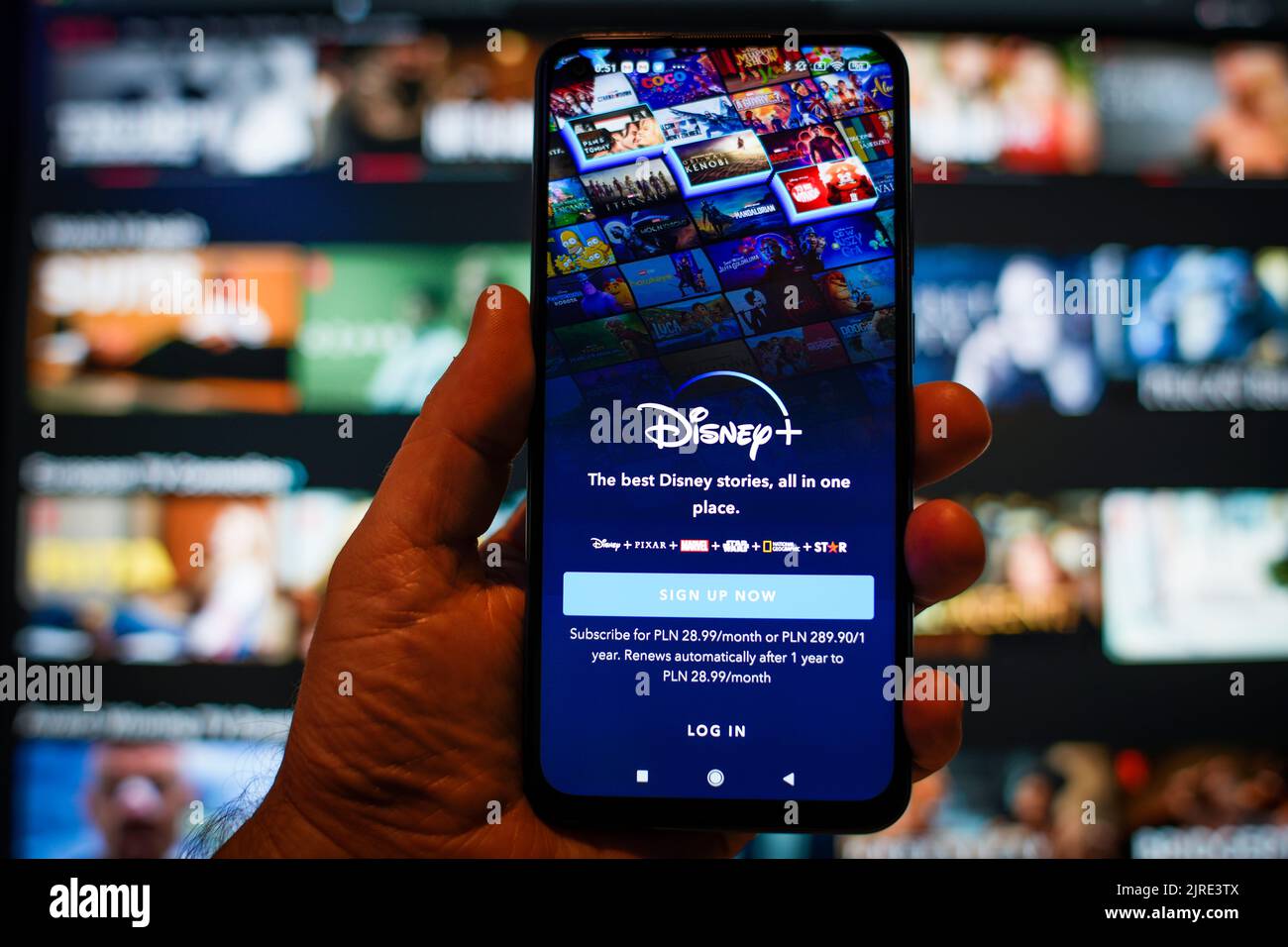 The DIsney Plus app is seen running on a mobile phone in this photo ...