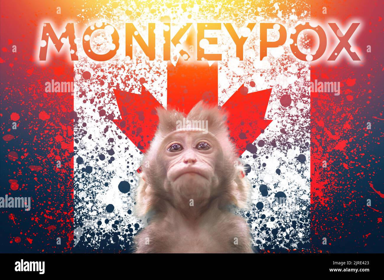 A new outbreak of viral infection at Canada, monkey pox. Small monkey
