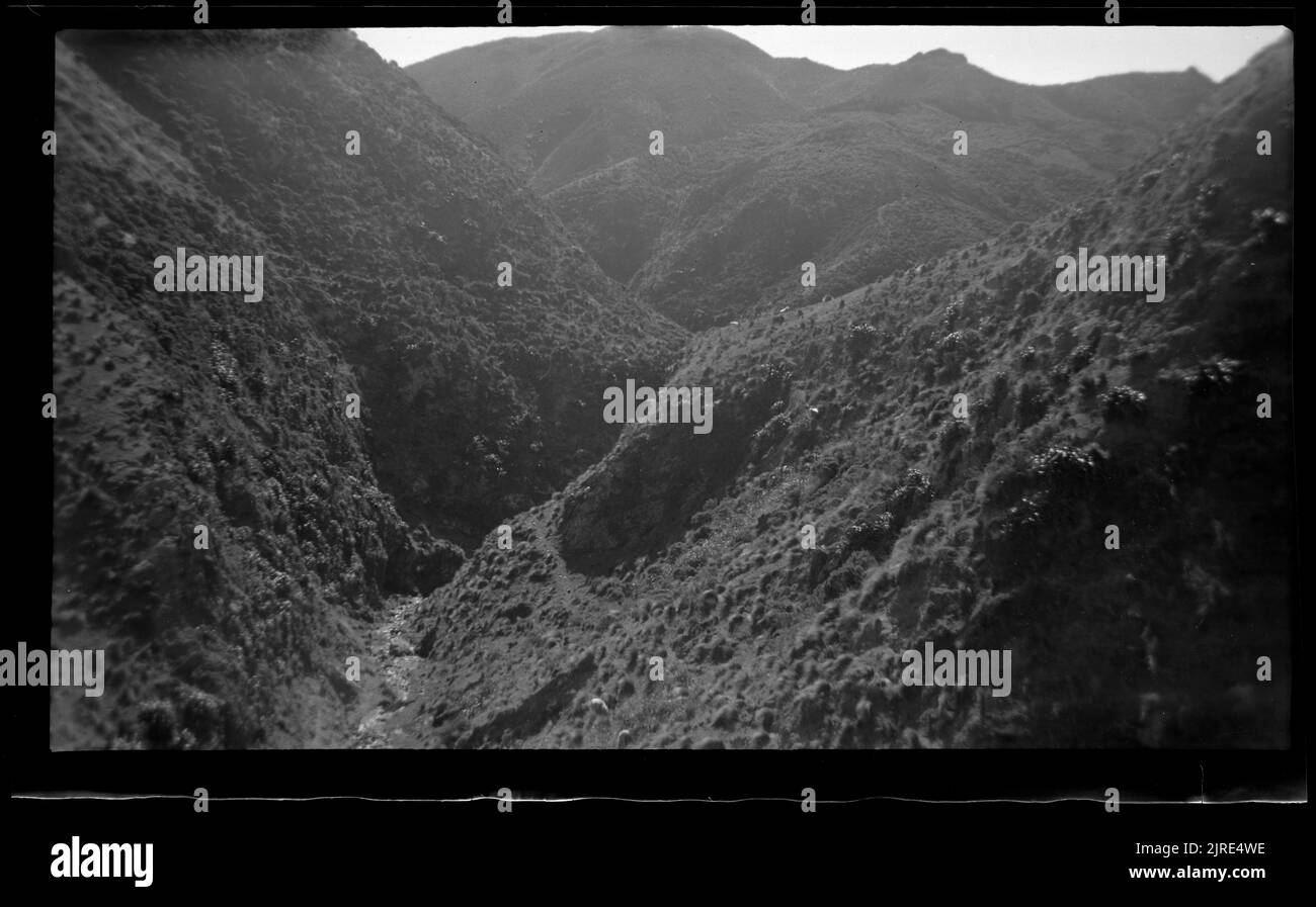 Gully of Hape Stm, showing rejuvenation, by cliff recession, with earlier mature valley-bottom (now a sloping bench) on right., 26 March 1949, by Leslie Adkin. Stock Photo