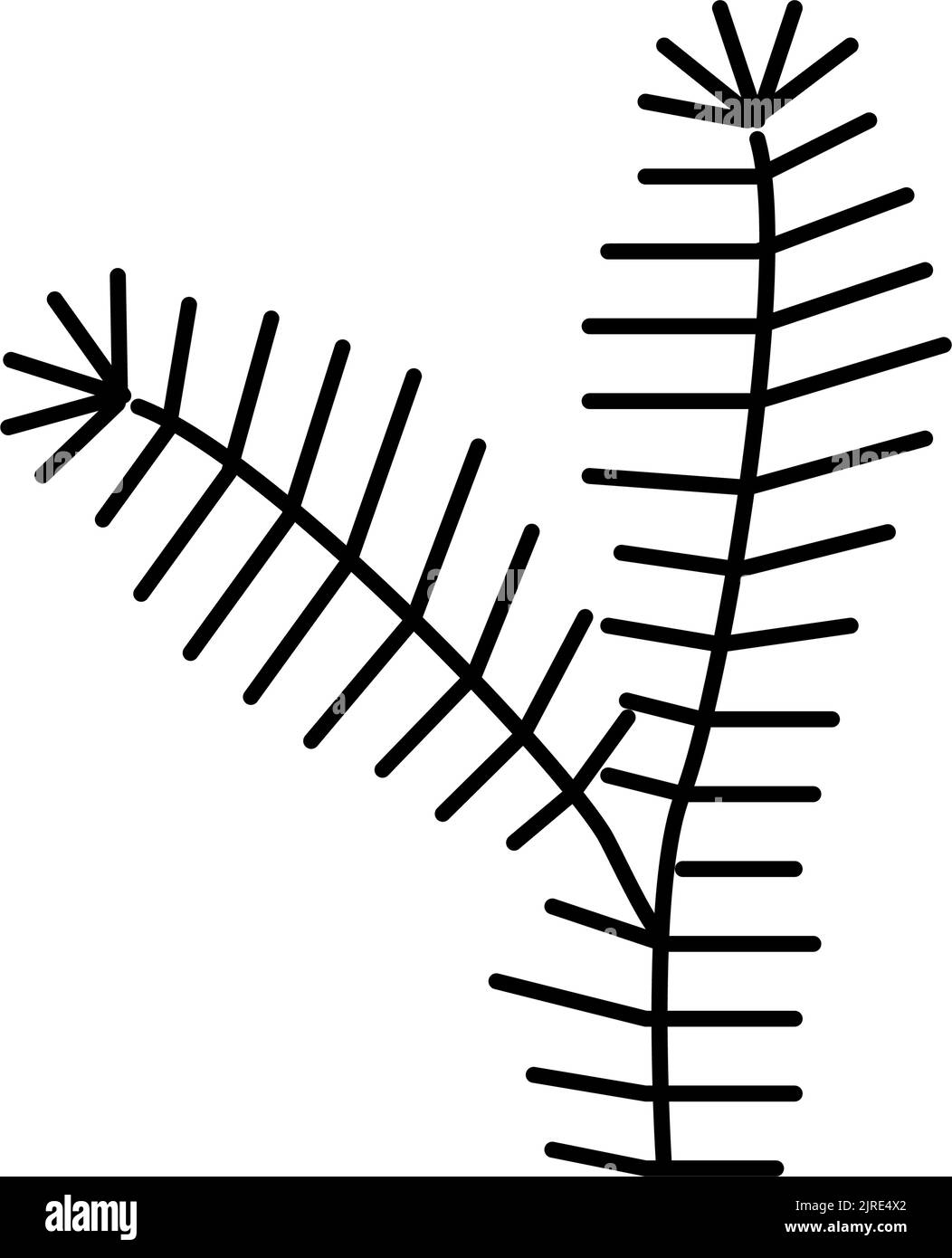 fir tree branch line icon vector illustration Stock Vector