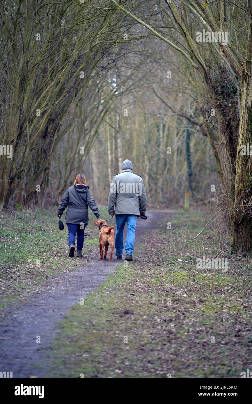 man, woman and dog walking along woodland footpath broome norfolk england Stock Photo