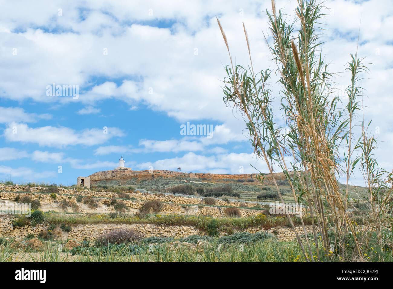 Gozo Rural Side Flat topped plateau hill in the rural village of Ghasri, Gozo, Malta ...