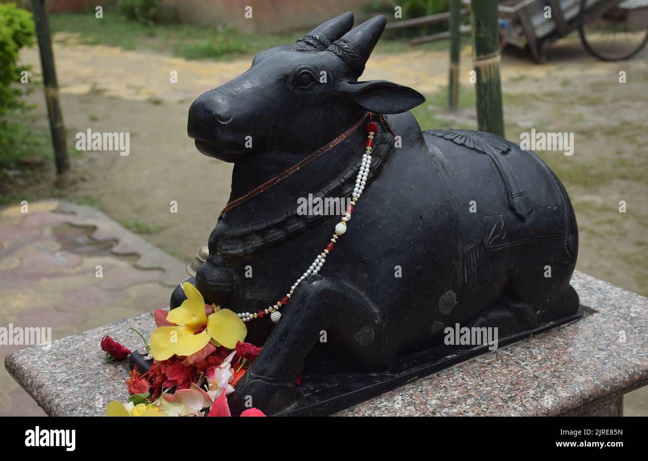 Idol of Nandi the sacred bull of the Hindu god Shiva at a temple in