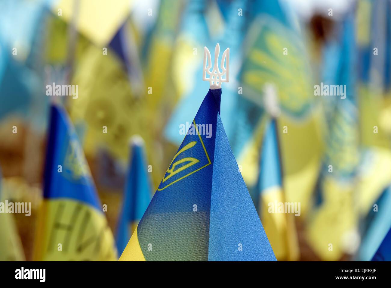 Ukrainian national official flag on blue sky background Stock Photo - Alamy