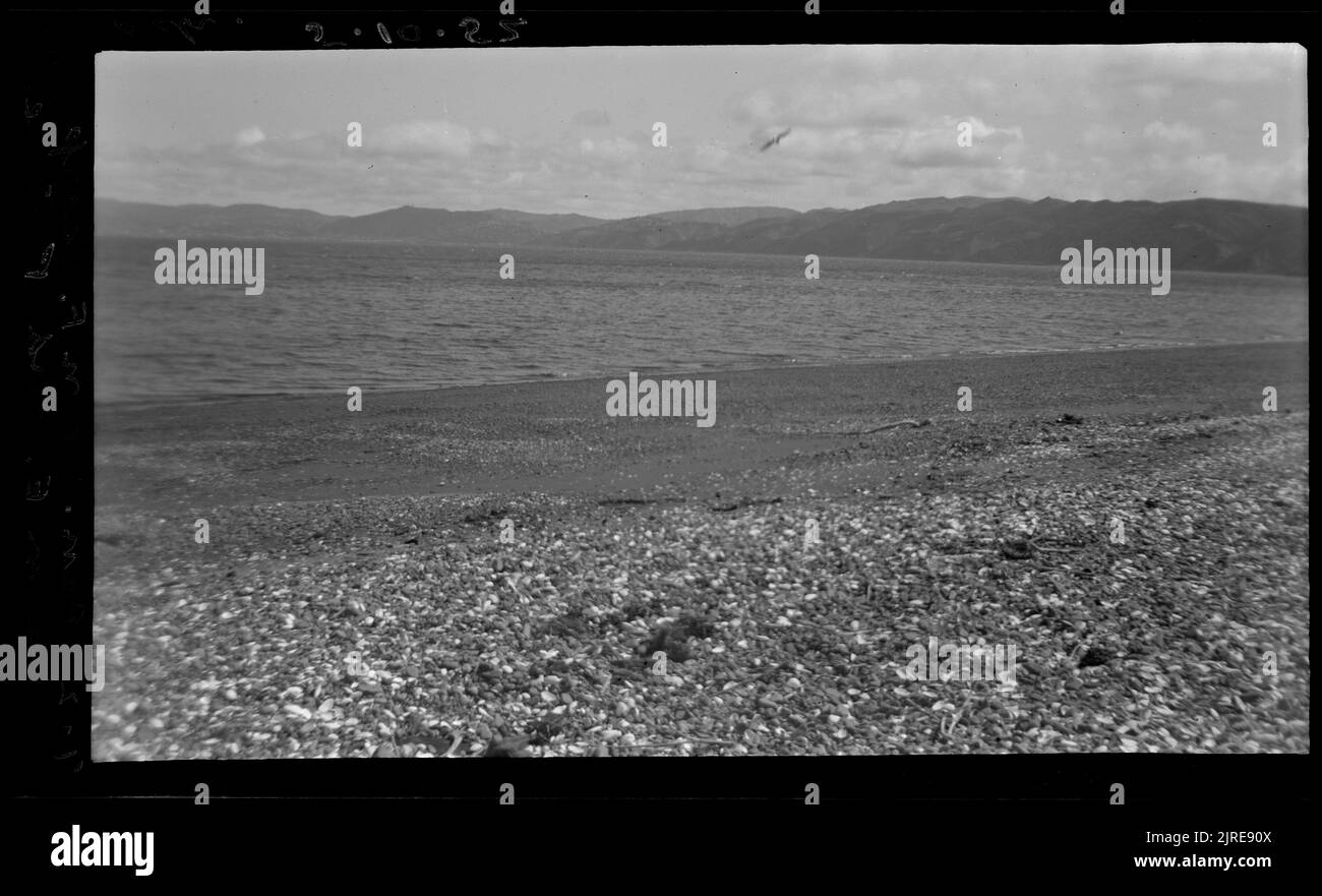 Wellington fault scarp from east and petone beach Black and White Stock