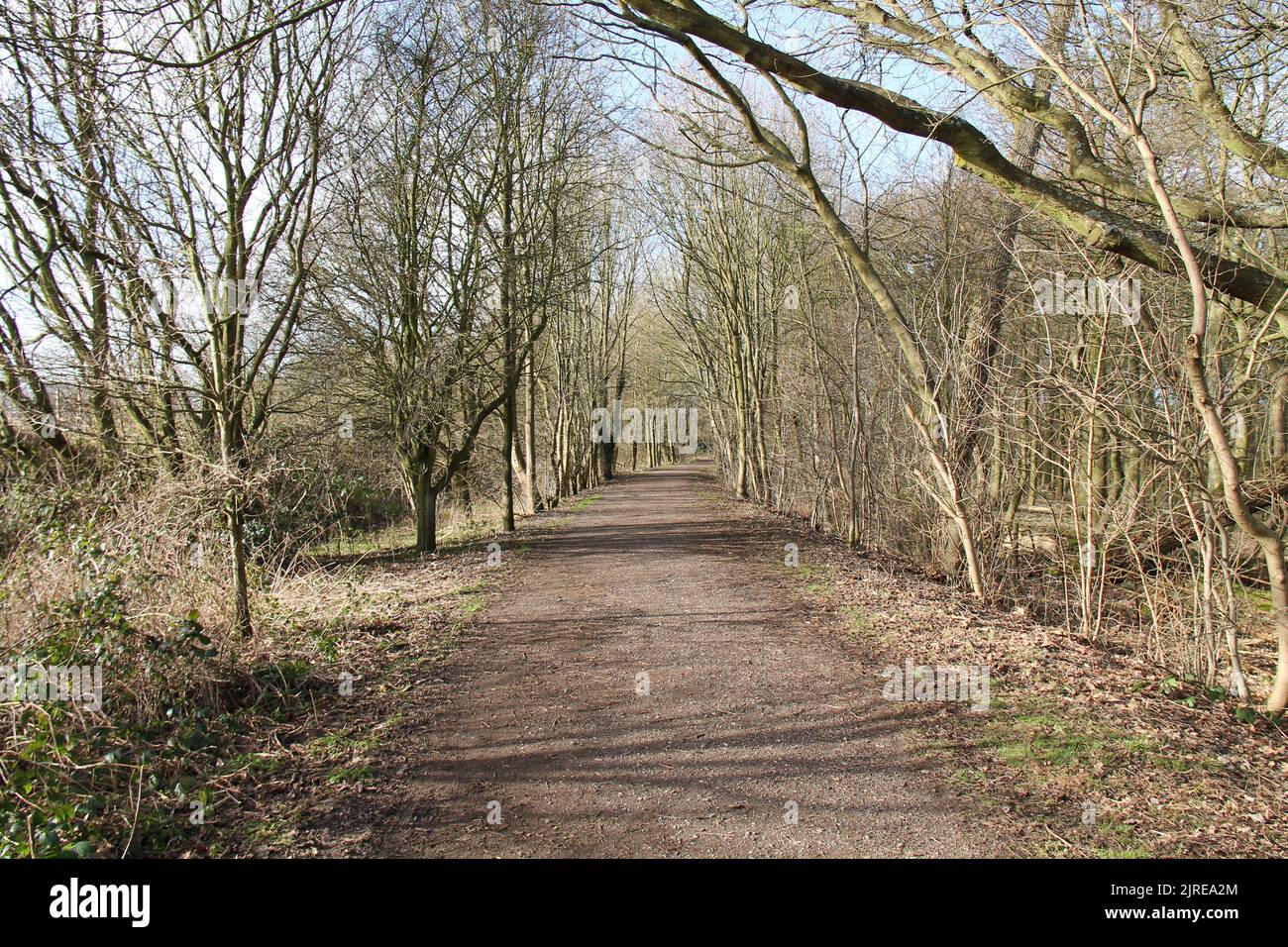 Pleasant Path Pleasant winters day hi-res stock photography and images - Alamy
