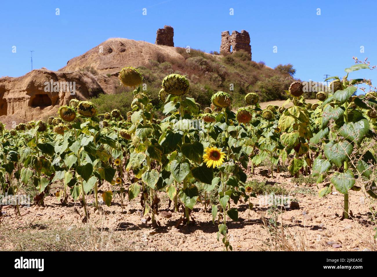 Castillo de los condes de saldana hires stock photography and images