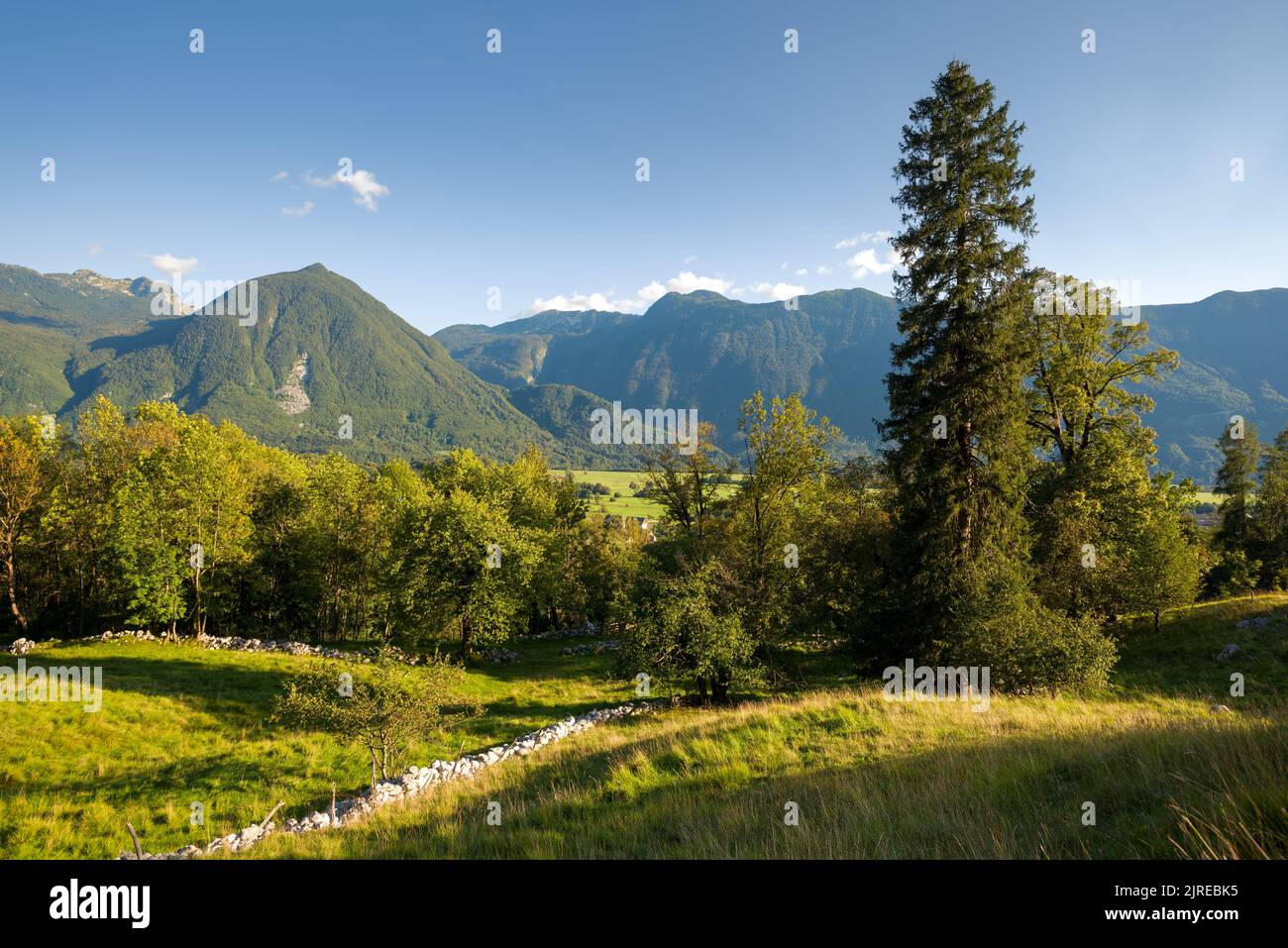 Alpine landscape in Slovenia Stock Photo