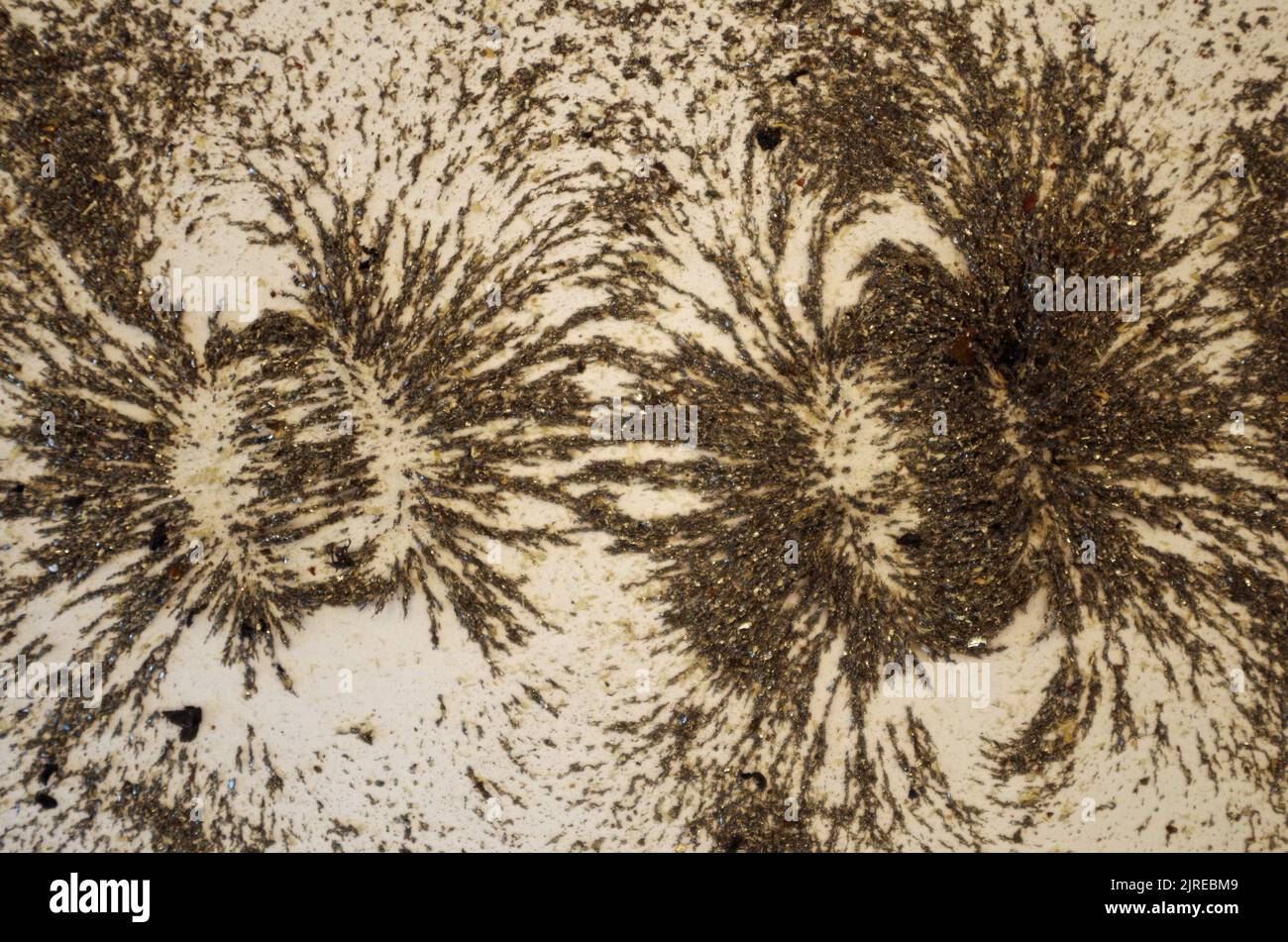 Magnetism show us a Pareidolian Face. Stock Photo