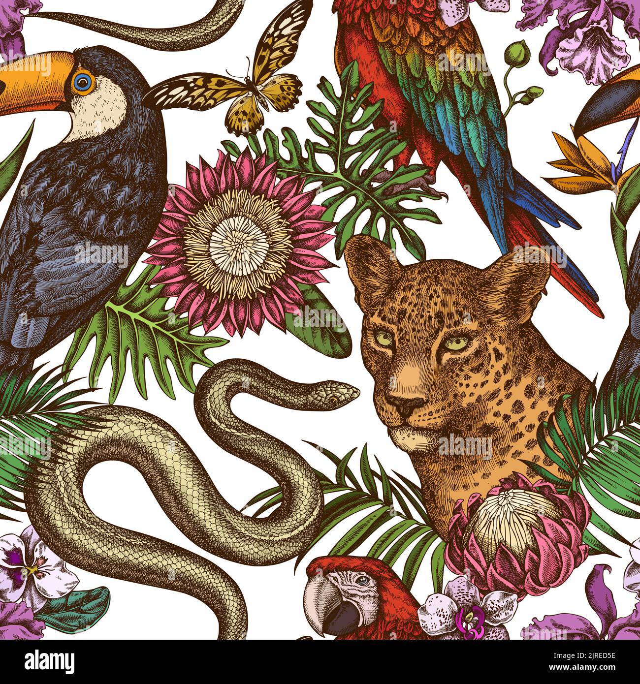 Tropical animals seamless pattern background design. Engraved style. Hand drawn leopard, snake, toucan, scarlet macaw, african giant swallowtail Stock Vector