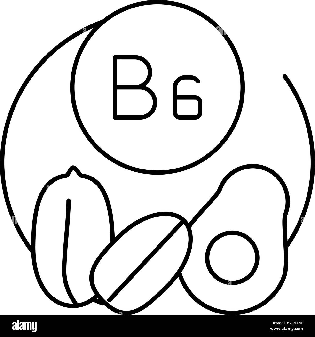 b6 vitamin line icon vector illustration Stock Vector Image & Art - Alamy