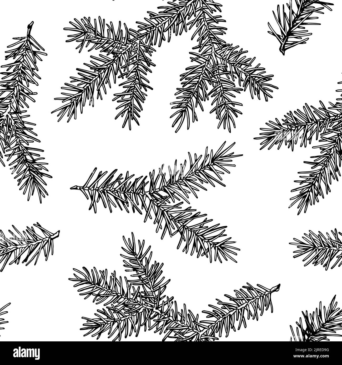 Mysterious forest seamless pattern background design. Engraved style. Hand drawn spruce branch. Stock Vector