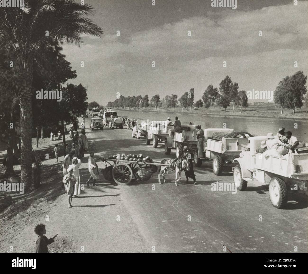 A vintage photo circa 1942 showing a convoy of British army trucks driving toward the battle front during the North African campaign in Egypt North Africa during world war two Stock Photo