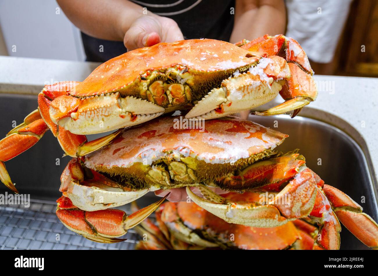 Preparing fresh crab ready to eat Stock Photo - Alamy