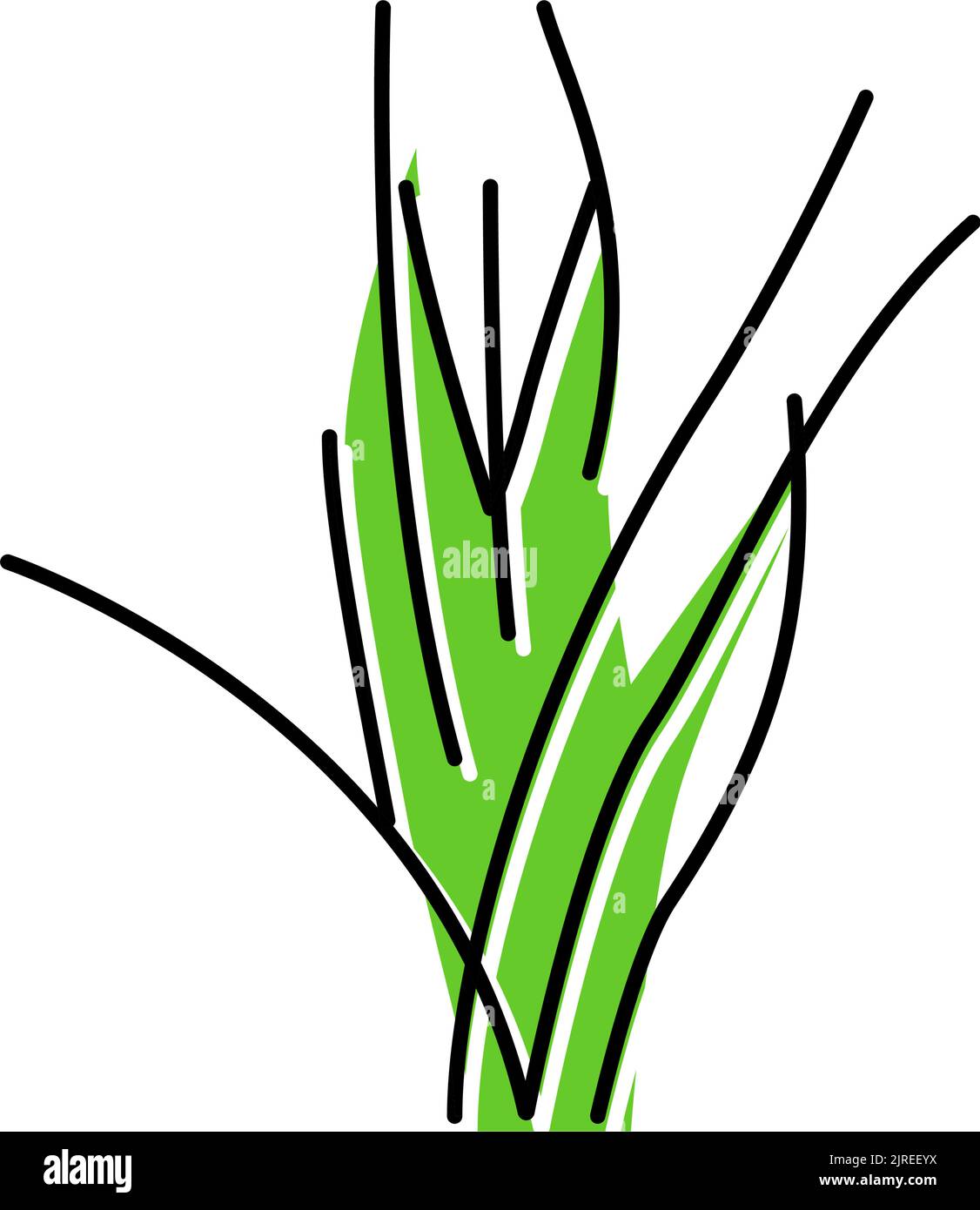 vallisneria spiralis color icon vector illustration Stock Vector