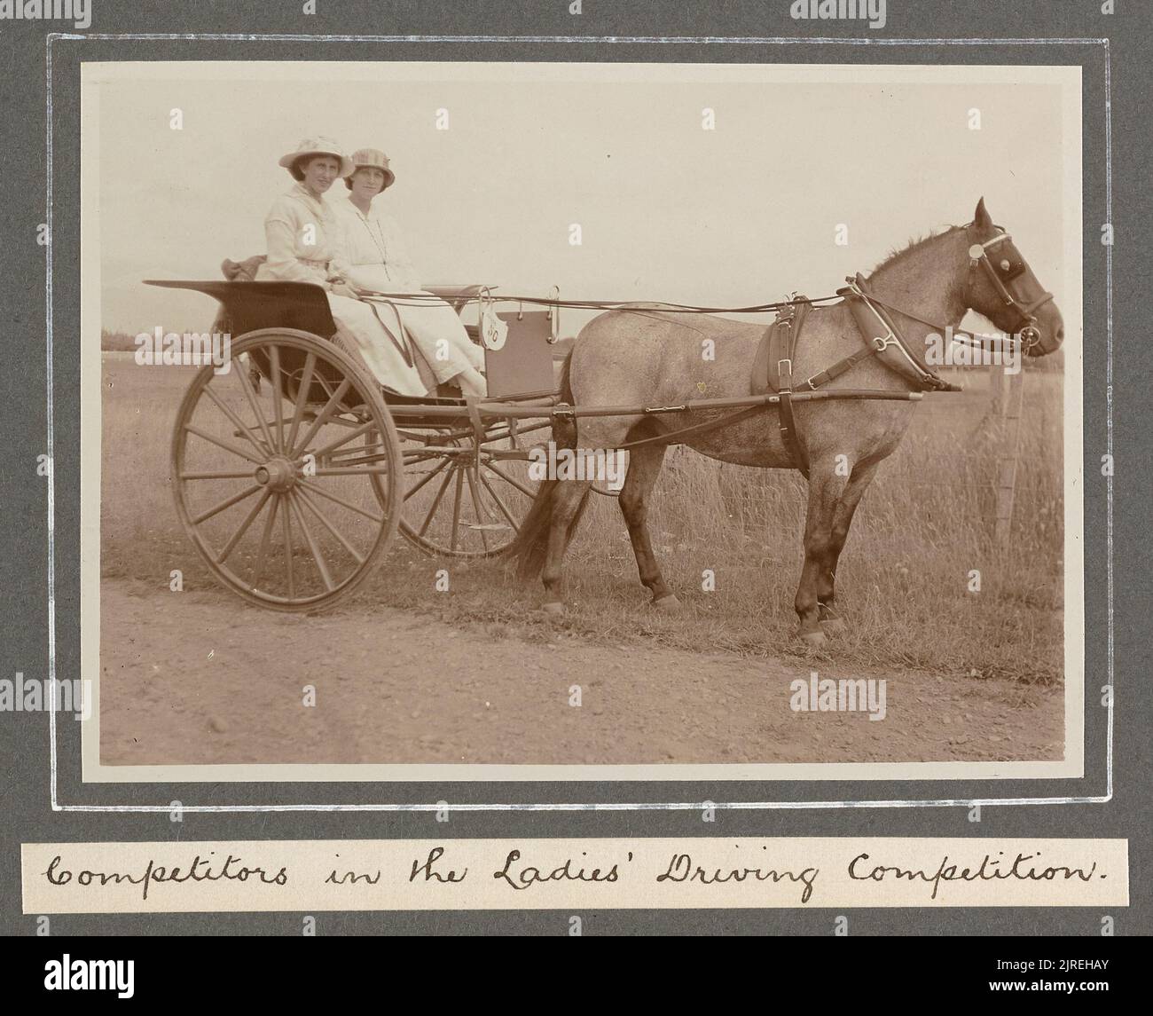 Horowhenua a and p show hi-res stock photography and images - Alamy