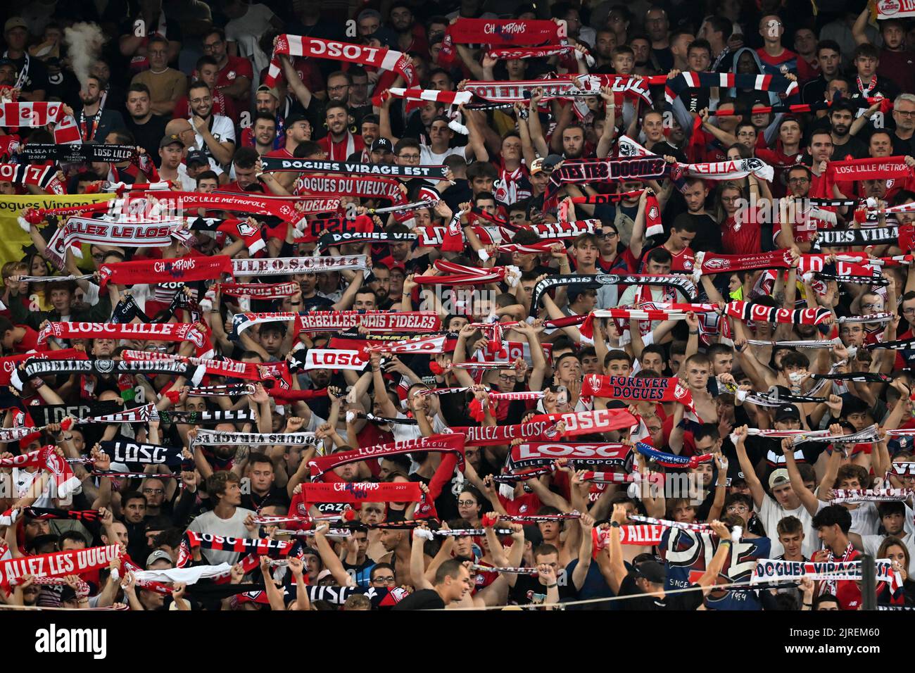 LILLE - LOSC Lille supporters during the French Ligue 1 match between Lille OSC and Paris Saint Germain at the Pierre-Mauroy Stadium on August 21, 2022 in Lille, France. ANP | Dutch Height | Gerrit van Keulen Stock Photo