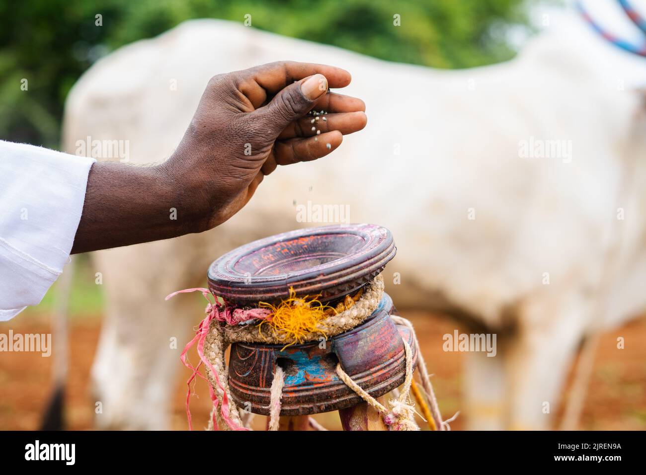 Traditional method of sowing hires stock photography and images Alamy