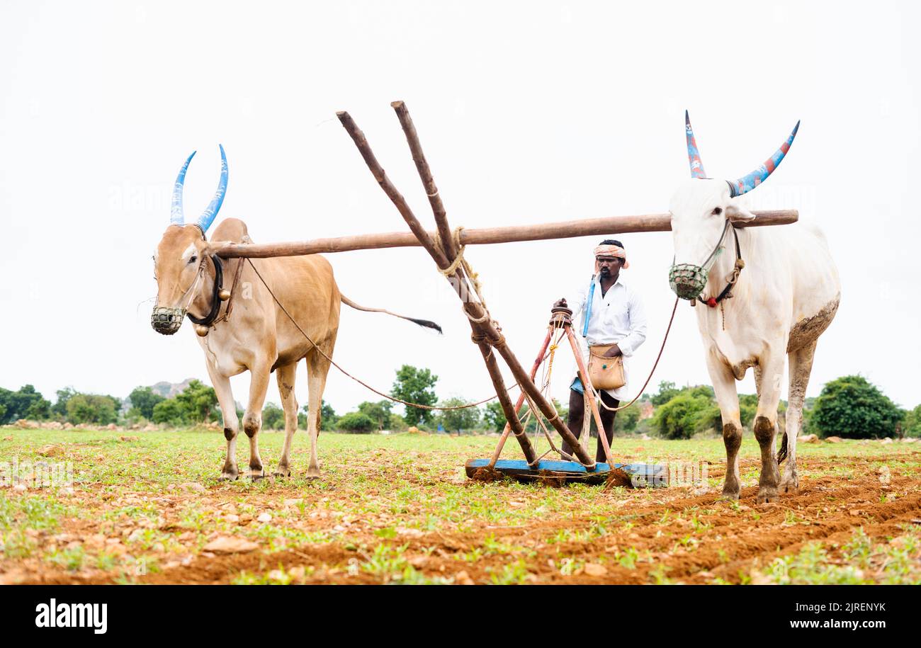 Agriculture farming occupation mountains hi-res stock photography and  images - Alamy