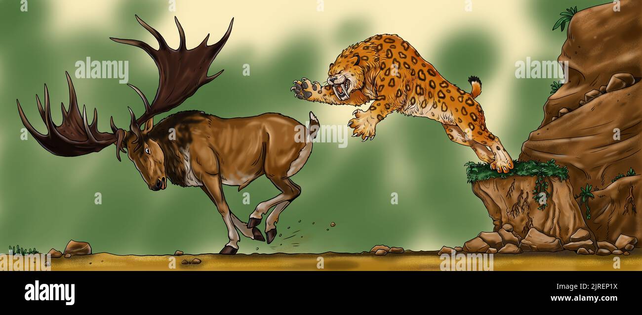 Saber Tooth attacks the gigantic deer megaloceros. Drawing with extinct animals. Template for coloring book. Stock Photo