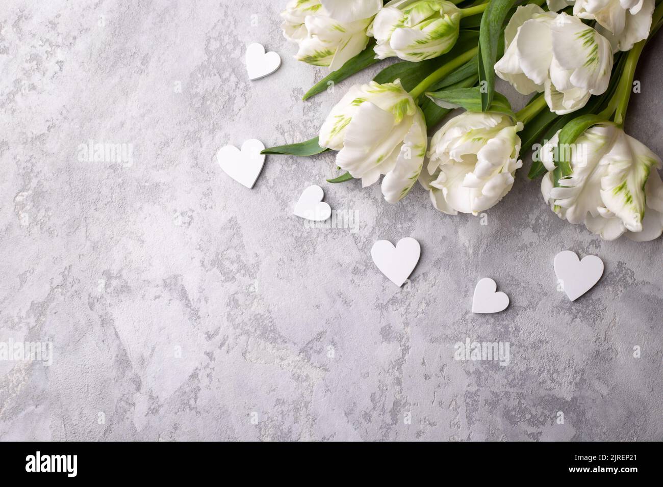 Bouquet of white tulips and wooden hearts on grey stone background copy space flat lay Stock Photo