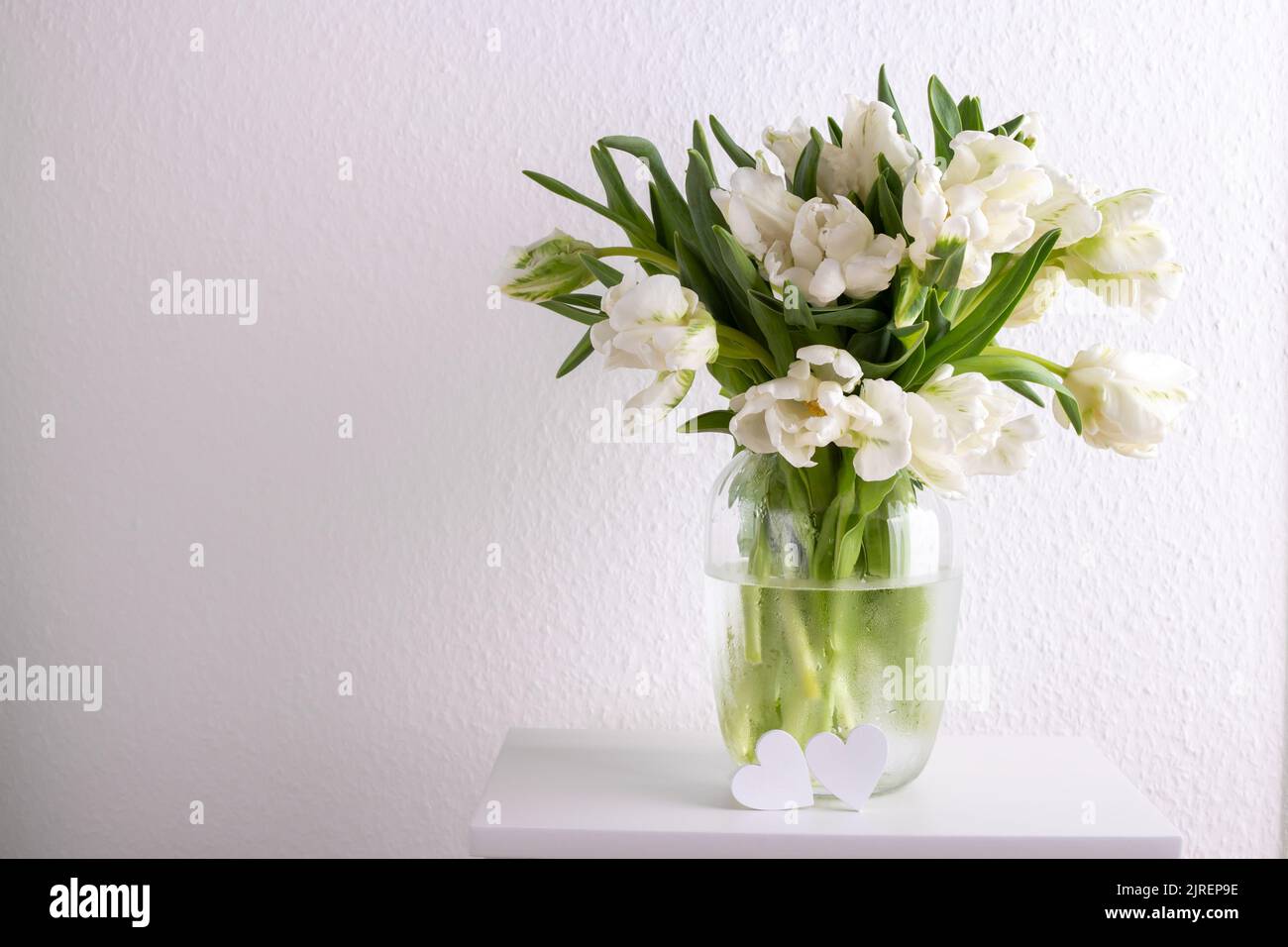 Bouquet of white tulips in a vase against white wall copy space Stock Photo