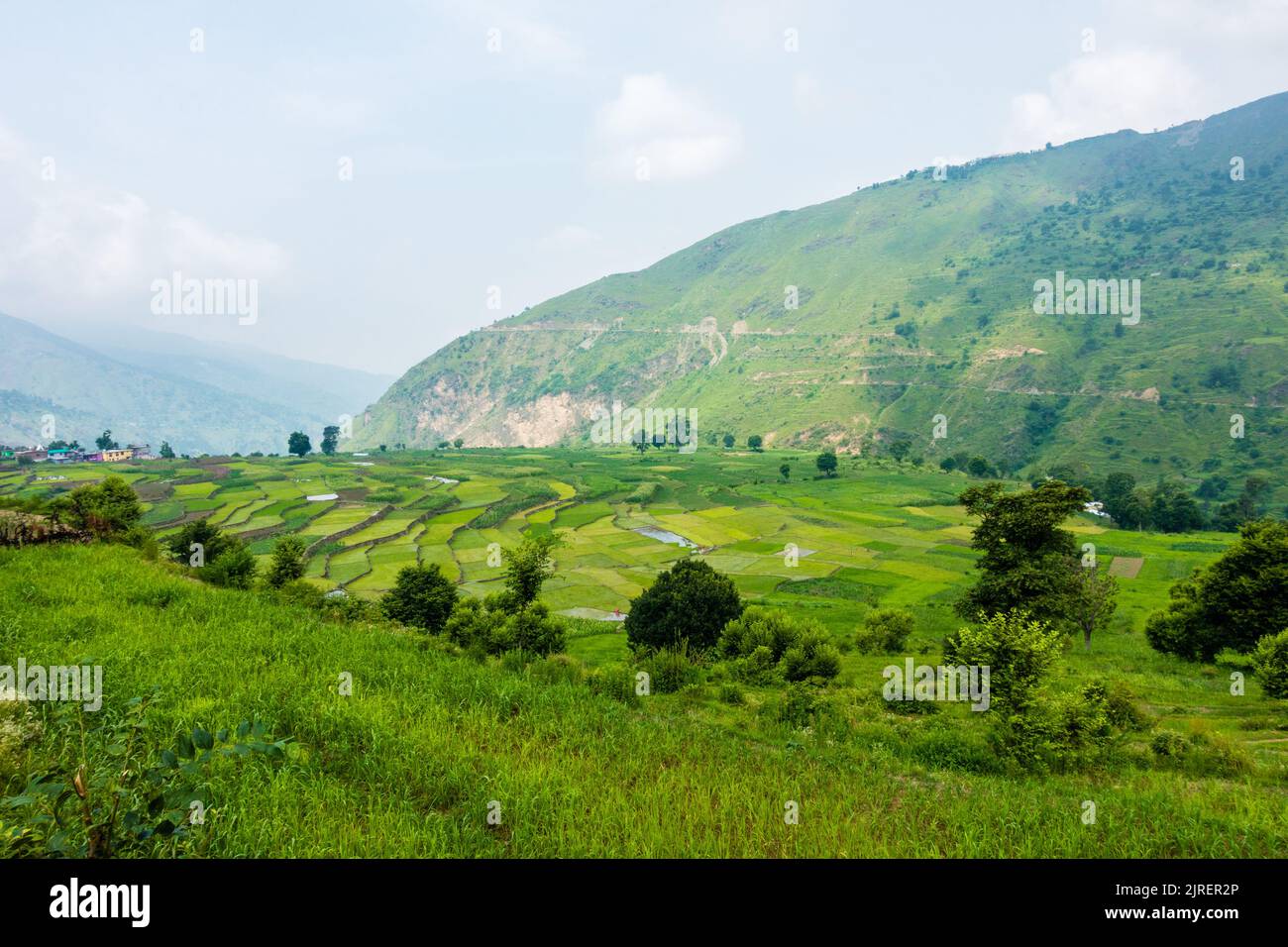 Farming in the hills of Himalayas. Uttarakhand India Stock Photo Alamy