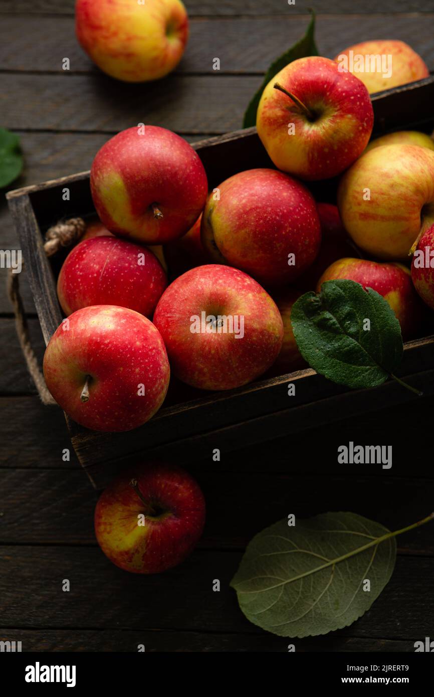 https://c8.alamy.com/comp/2JRERT9/fresh-apples-in-wooden-crate-harvest-fruits-on-rustic-surface-homegrown-food-2JRERT9.jpg