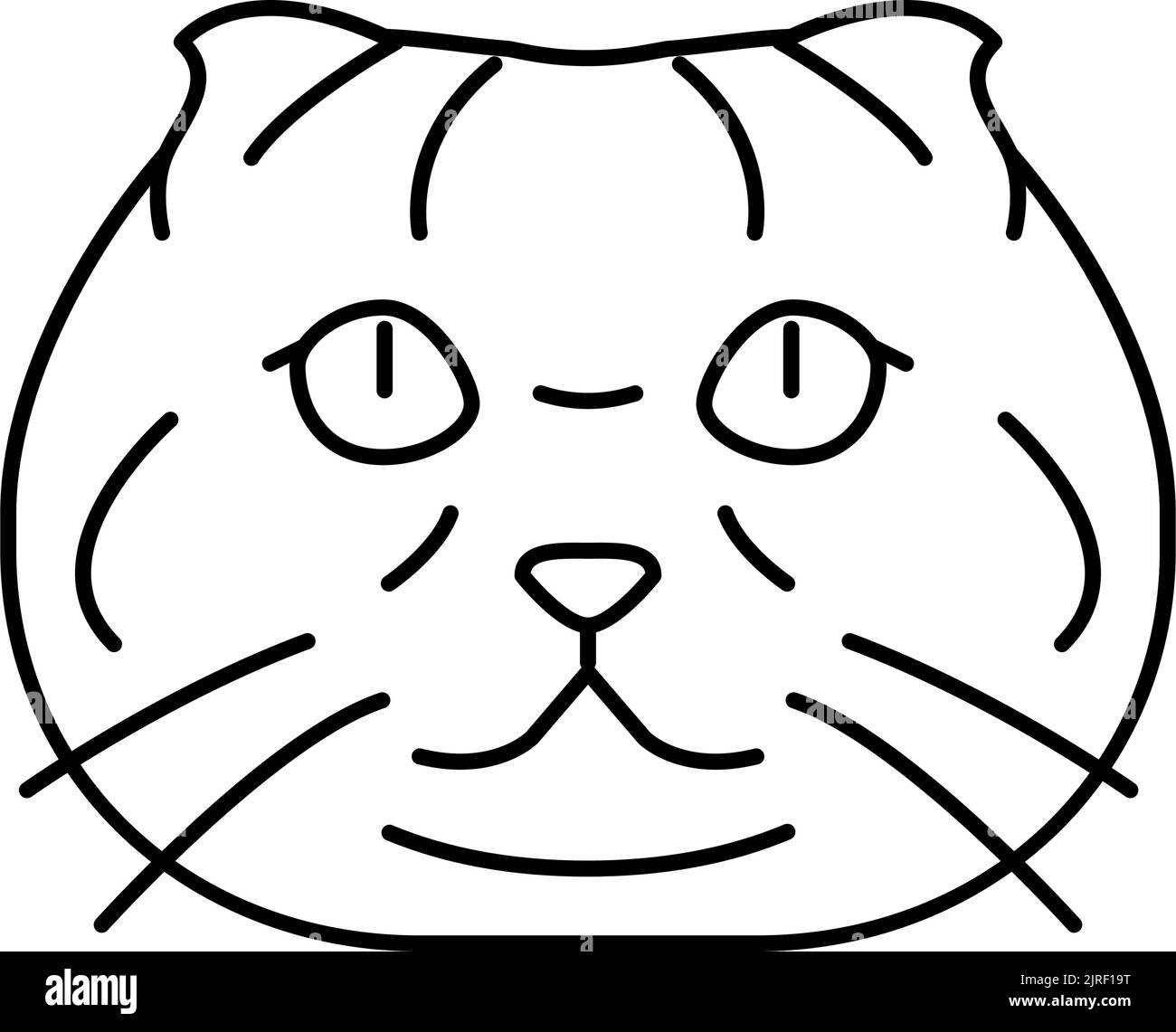 scottish fold cat cute pet line icon vector illustration Stock Vector