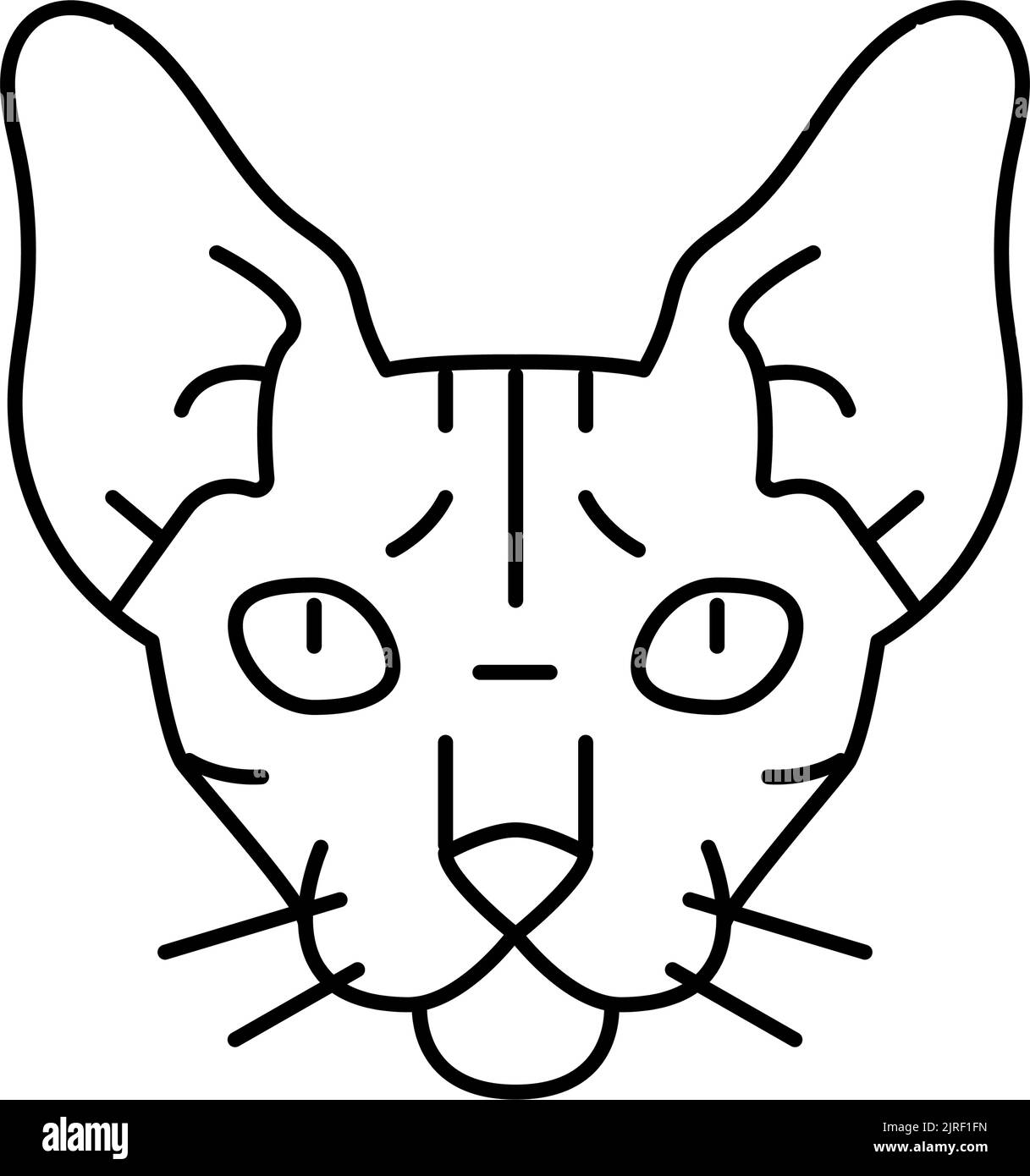 sphynx cat cute pet line icon vector illustration Stock Vector Image