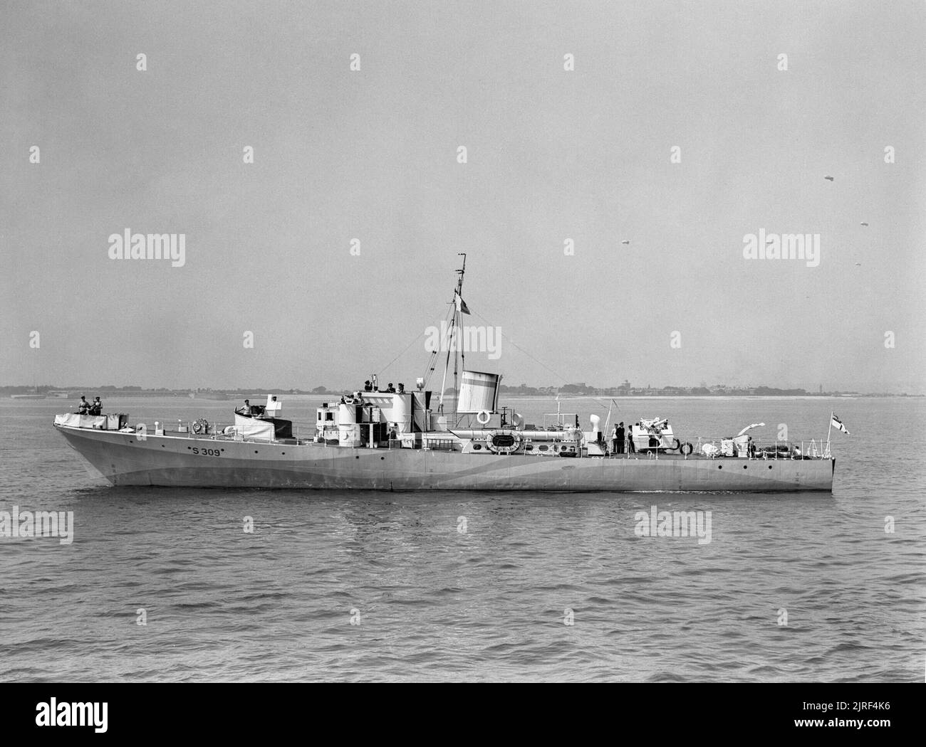 Grey Goose Underway Stock Photo - Alamy