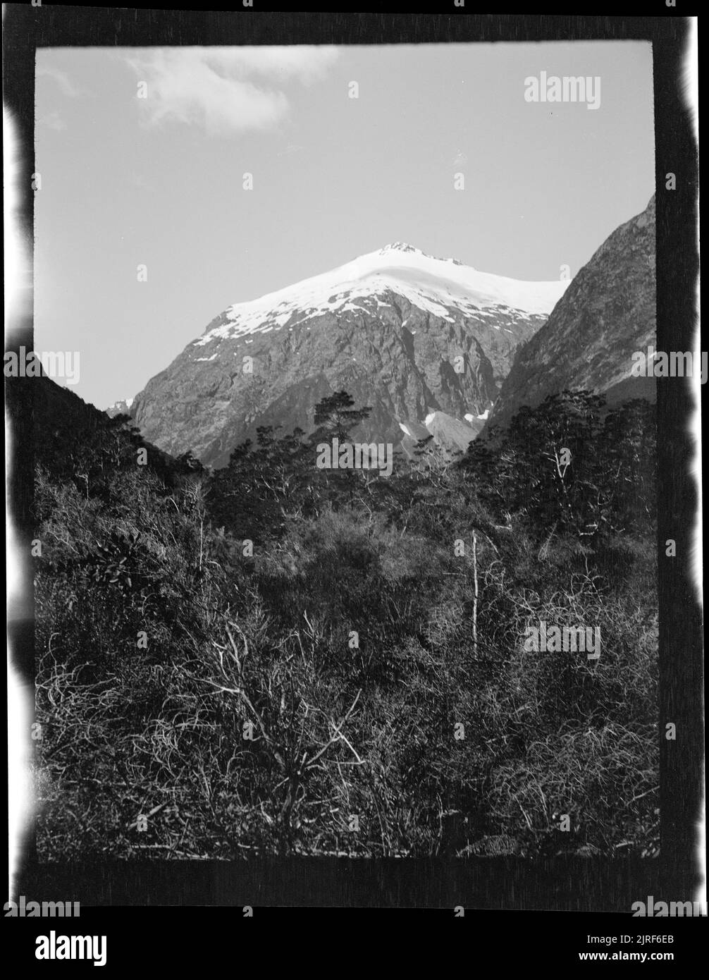 Student Peak, Hollyford Valley, by Dr Patrick Marshall Stock Photo Alamy